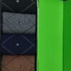 Tommy Hilfiger Colors Shocks