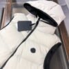 Unisex Multi-Wear Down Vest 2025